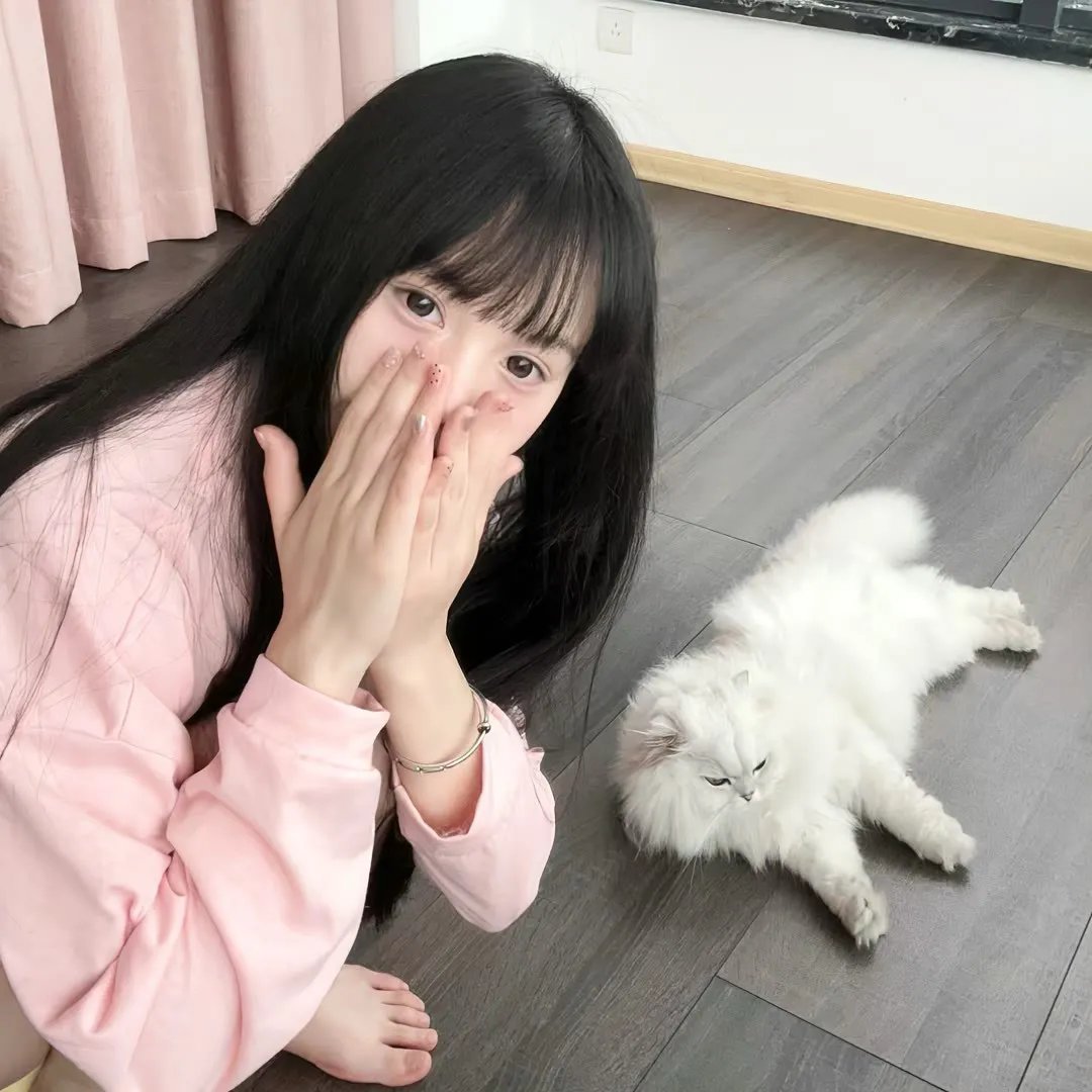 报得三春晖短剧